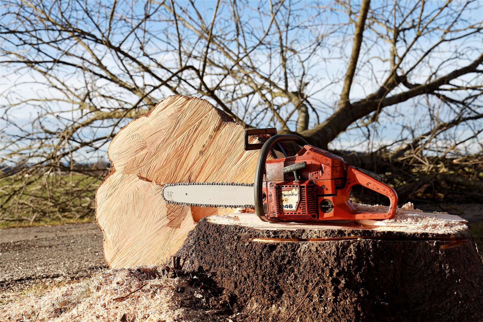 DANIEL ORTET -wfranz-chainsaw-4815949-1920-copy